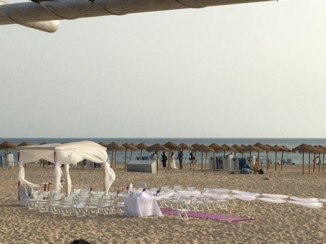 36bac751-eb7b-43a2-beef-2b0a21b3f96e